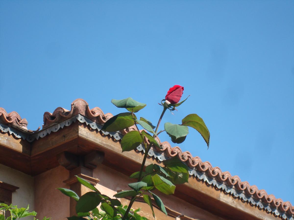 Oikia Alexandrou Traditional Inn Arnaia Exterior photo