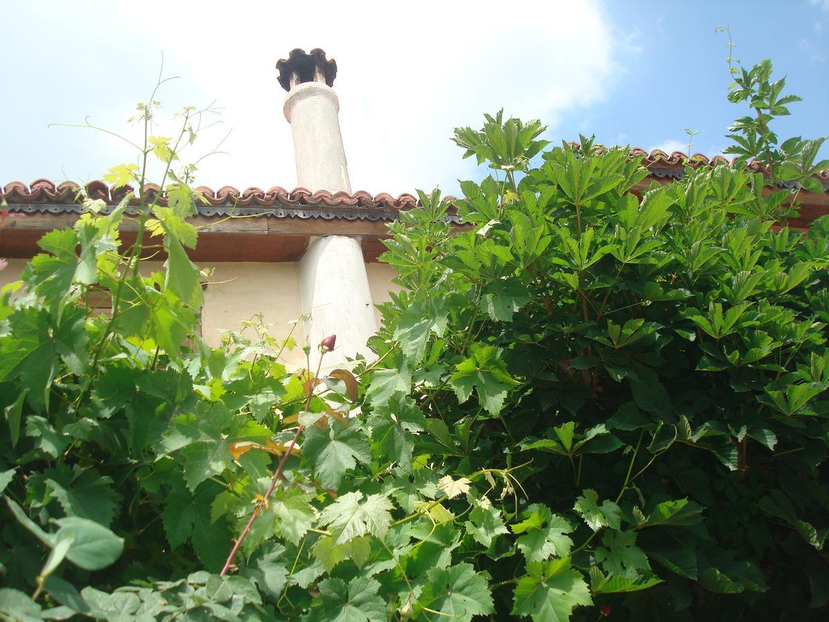 Oikia Alexandrou Traditional Inn Arnaia Exterior photo