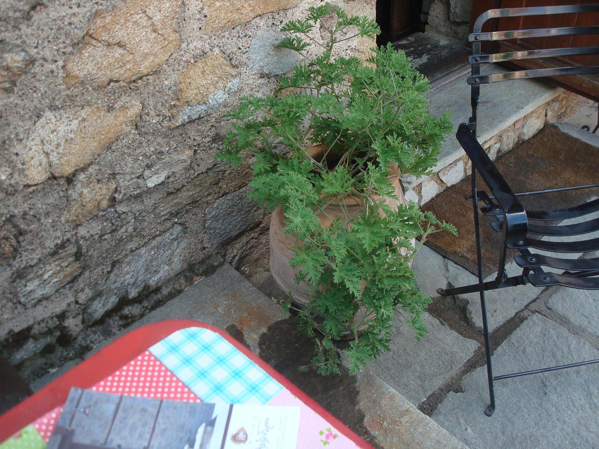 Oikia Alexandrou Traditional Inn Arnaia Exterior photo